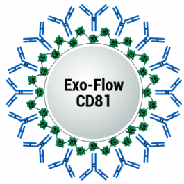 CD81 Exo-Flow Capture Kit | System Biosciences