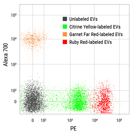 その他 nano collect ExoFlow-ONE EV Labeling Kit for Flow Cytometry (Ruby Red