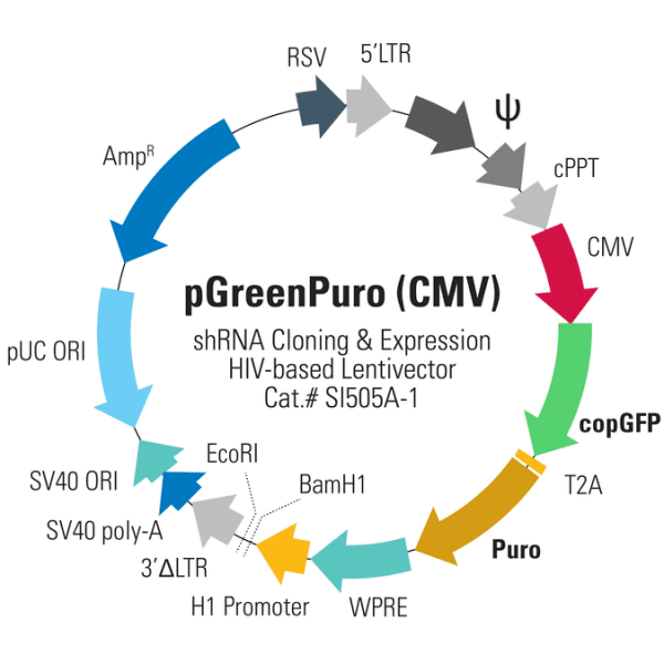 pGreenPuro (CMV) shRNA Cloning and Expression Lentivector | System