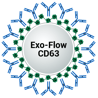 CD63 Exo-Flow Capture Kit | System Biosciences