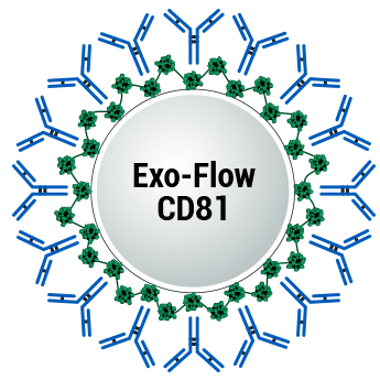 CD81 Exo-Flow Capture Kit | System Biosciences