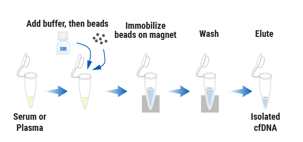 The fast cfMAX workflow.