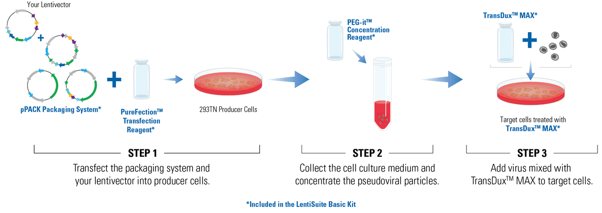 The LentiSuite Basic Kit includes optimized reagents for large-scale lentivirus production when quantitative titer information is not needed