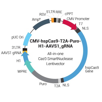 CMV-hspCas9-T2A-Puro-H1-AAVS1_gRNA All-in-one Cas9 SmartNuclease & AAVS1 gRNA Lentivector