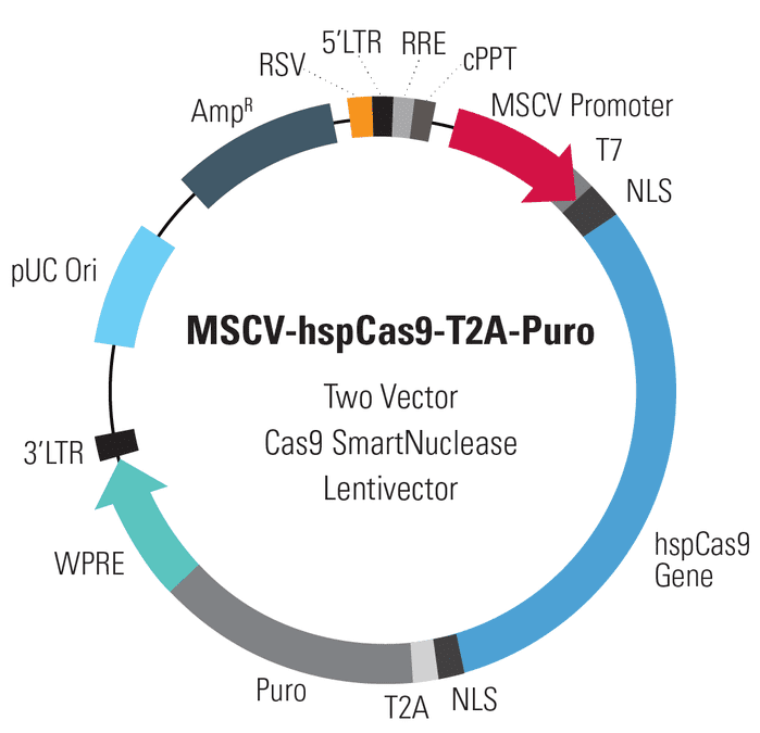 MSCV-hspCas9-T2A-Puro Two Vector Cas9 SmartNuclease Lentivector