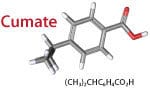 Exo-Fect transfects the small molecule cumate into exosomes