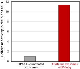 The EV-Entry System increases the delivery of XPack-Luciferase to recipient cells