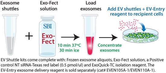 The EV Shuttle Kit enables direct transfection of RNA, plasmid, and small molecule cargo into exosomes
