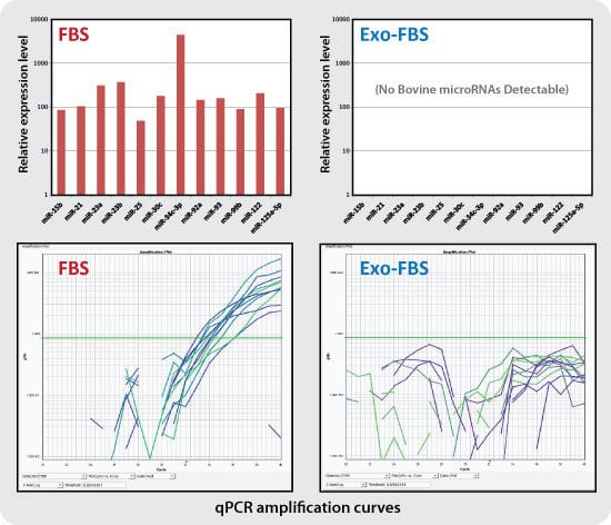 qPCR shows bovine miRNA is undetectable in Exo-FBS