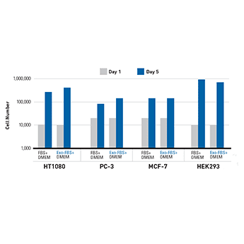 Exo-FBS supports comparable cell growth to FBS