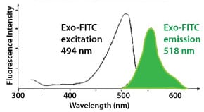 Proprietary, reversible Exo-FITC is optimized for Exo-Flow Capture Kits