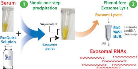 Streamline biomarker discovery with seramir – the workflow, steps 1 and 2