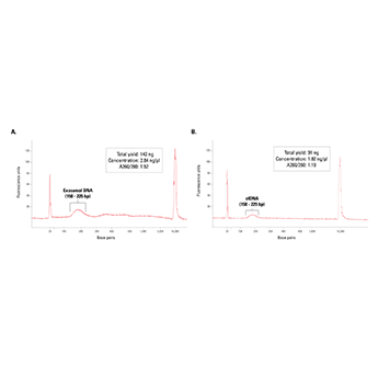 The XCF COMPLETE Kit delivers good quality cfDNA and exosomal DNA
