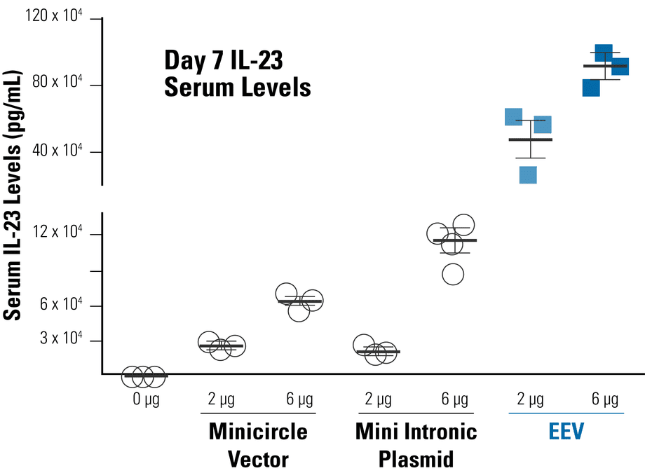 A constitutive EEV reporter based on CAGs-MCS leads to higher serum IL-23 levels in mice than two other episomal vector systems