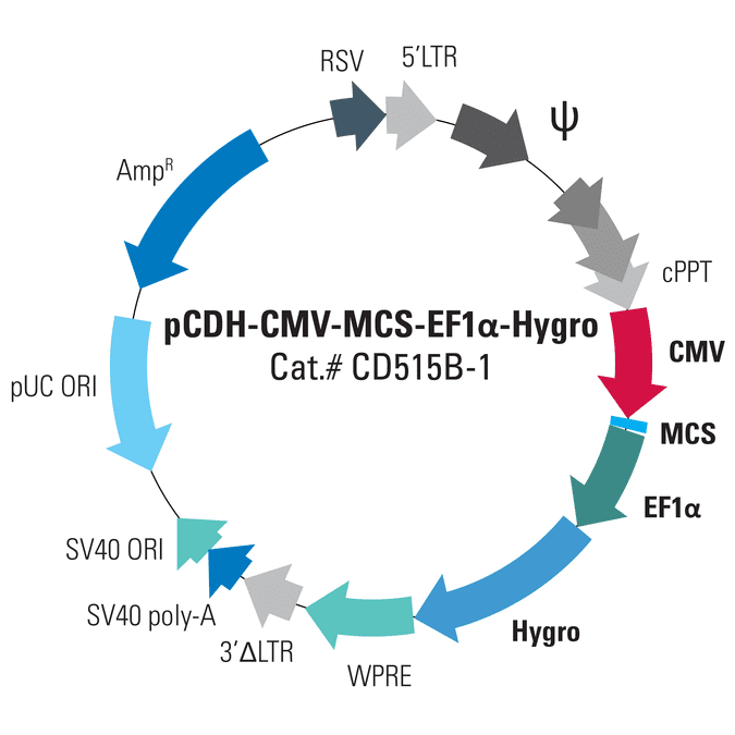 pCDH-CMV-MCS-EF1α-Hygro Cloning and Expression Lentivector
