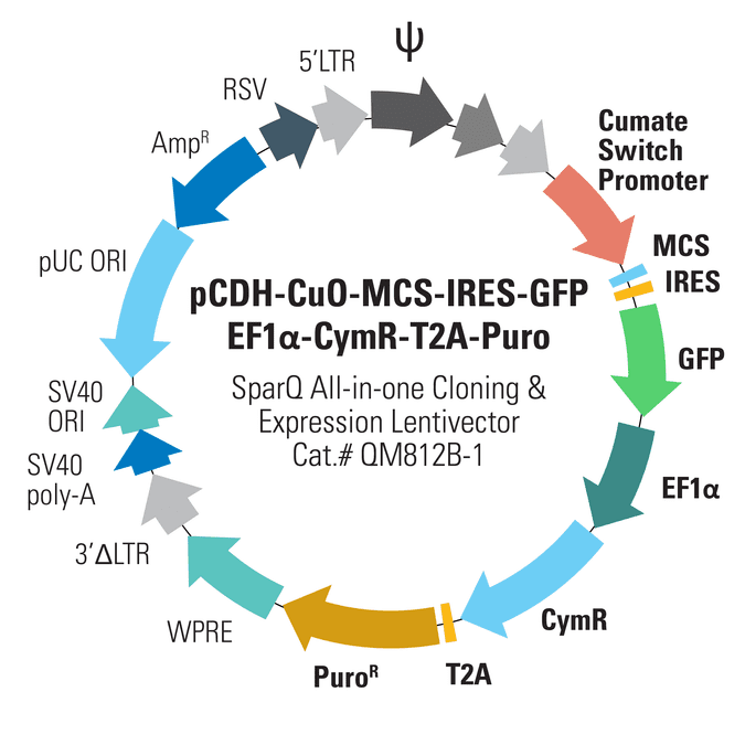 pCDH-CuO-MCS-IRES-GFP-EF1α-CymR-T2A-Puro SparQ All-in-one Cloning and Expression Lentivector