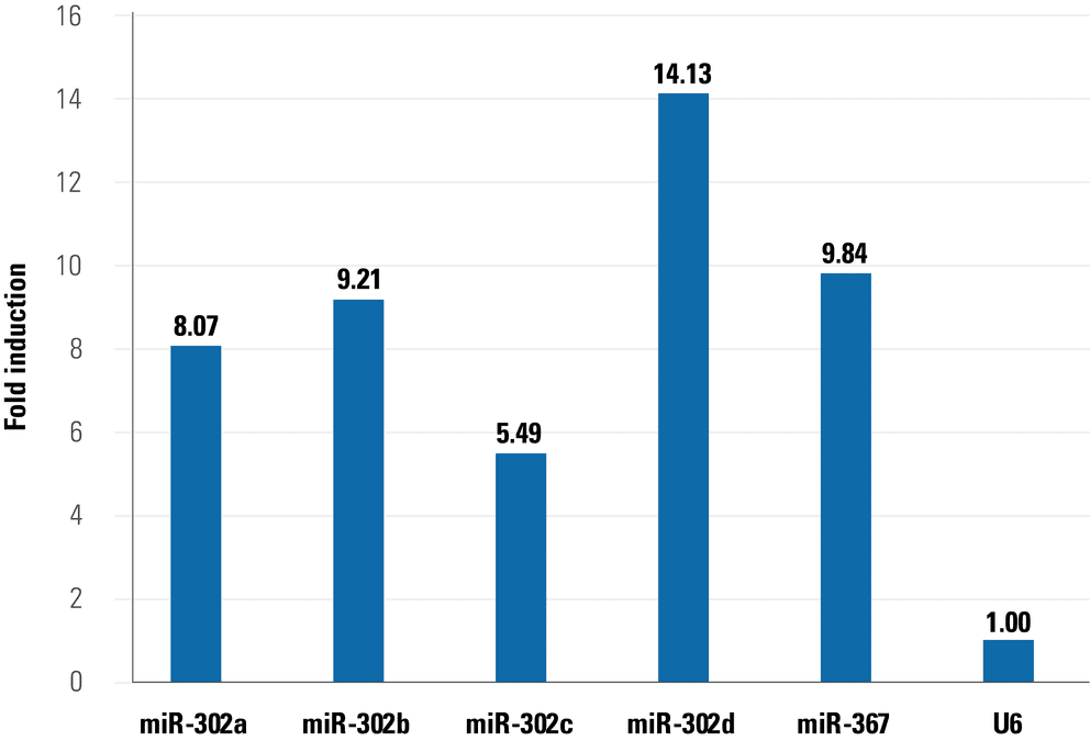 Robust, cumate-inducible expression of the miR-302/367 cluster