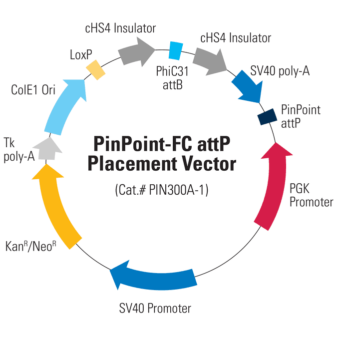 PinPoint Integrase Expression Plasmid