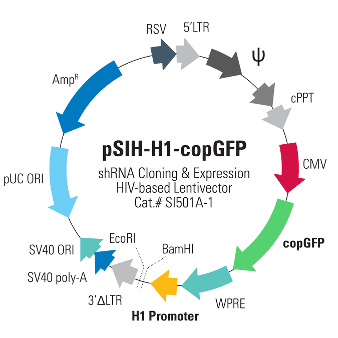 pSIH1-H1-copGFP Cloning and Expression Lentivector