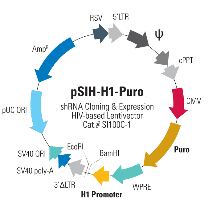 pSIH1-H1-Puro Cloning and Expression Lentivector