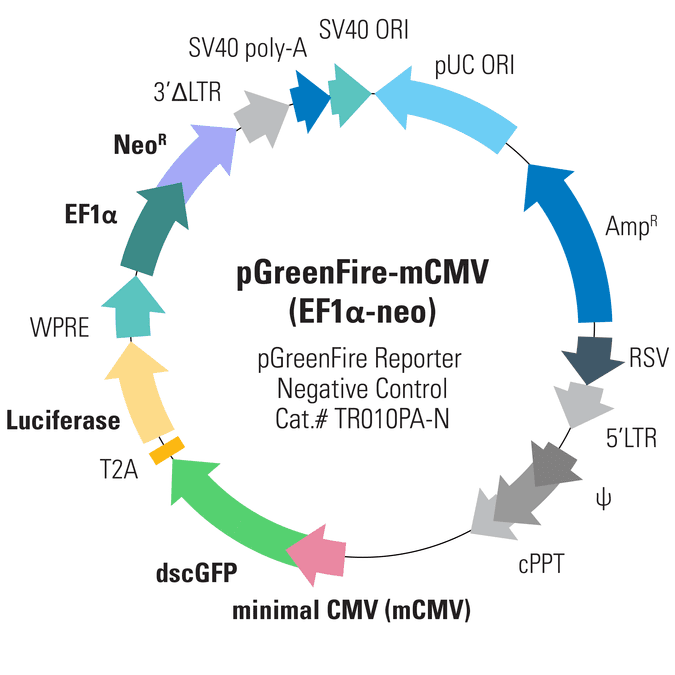 pGreenFire1-mCMV (EF1α-neo) Negative Control Lentivector