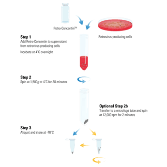 Retro-Concentin supports a fast, simple, and ultracentrifugation-free workflow