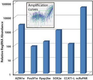 Detect regulatory RNAs in exosomes