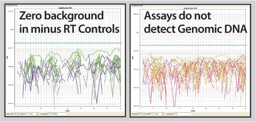 Get robust cDNA yields and clean, sensitive qPCR quantitation with undetectable background