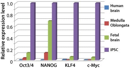 The Neural Lineage qPCR Profiler can identify pluripotency