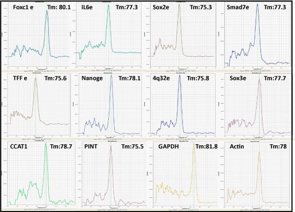 Regulatory RNA qPCR Profiler