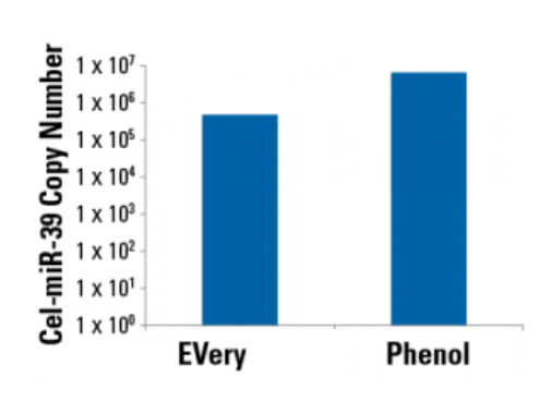 EVeryRNA is EVery bit as good as phenol.