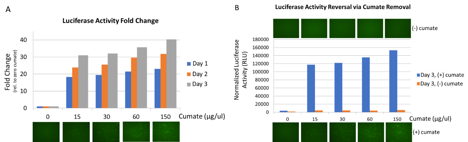 SBI’s Biofluid Exosomes contain expected protein markers