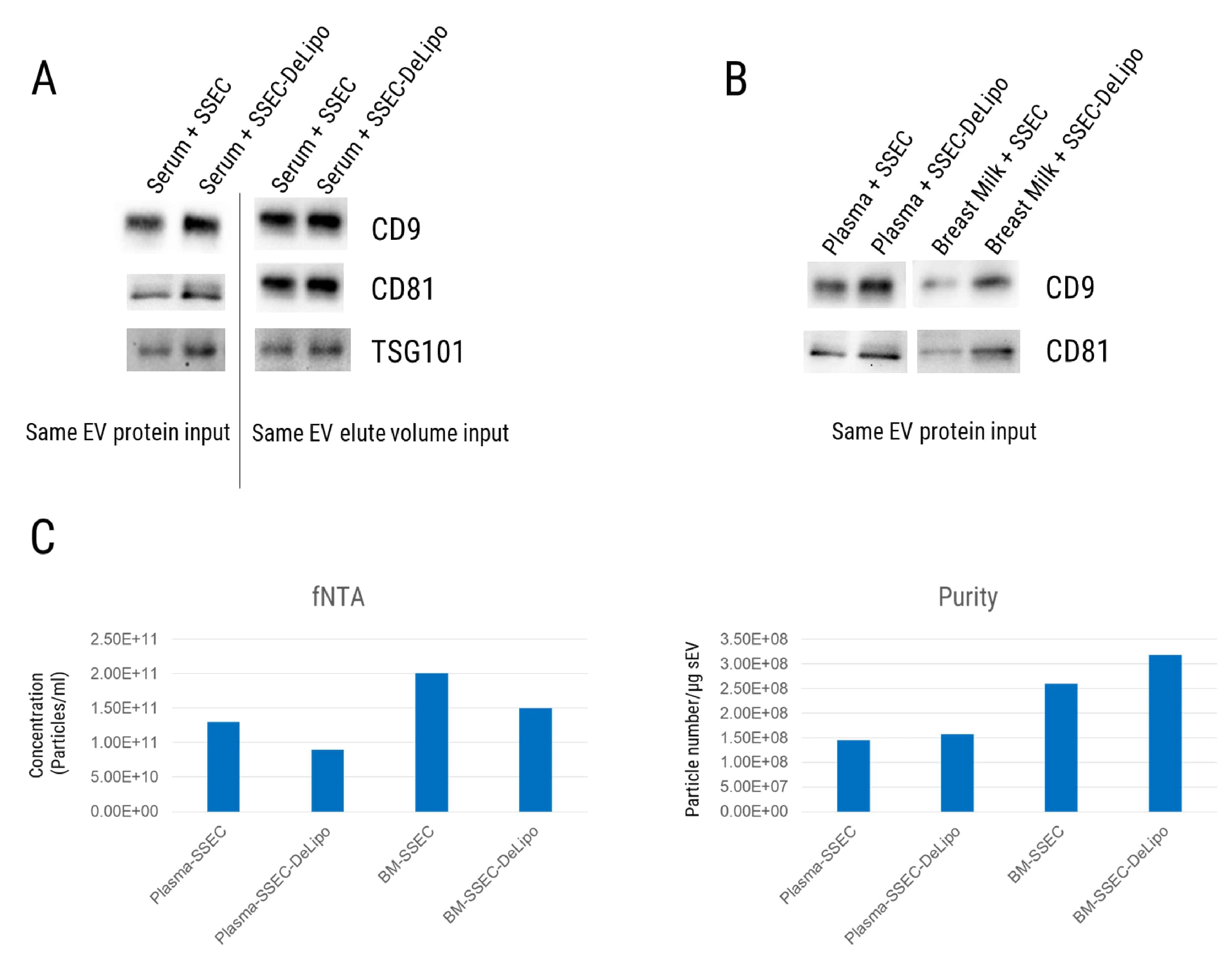 SmartSEC-DeLipo™ isolates much purer sEV