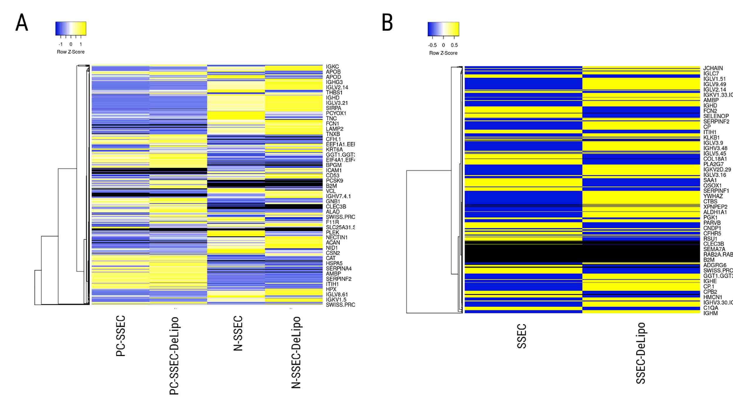 SmartSEC-DeLipo™ isolate sEV can be used for proteomic study