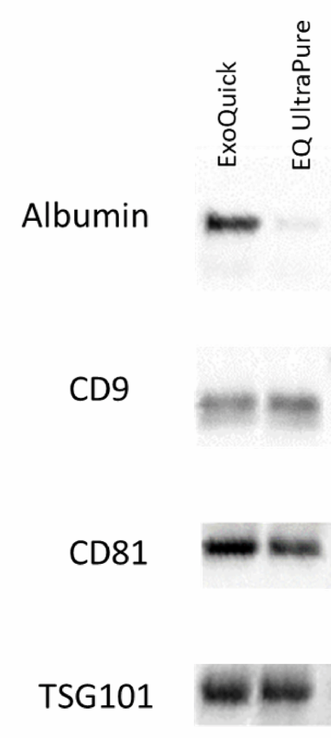 Fig 2 ExoQuick-----delivers high yields of clean EVs