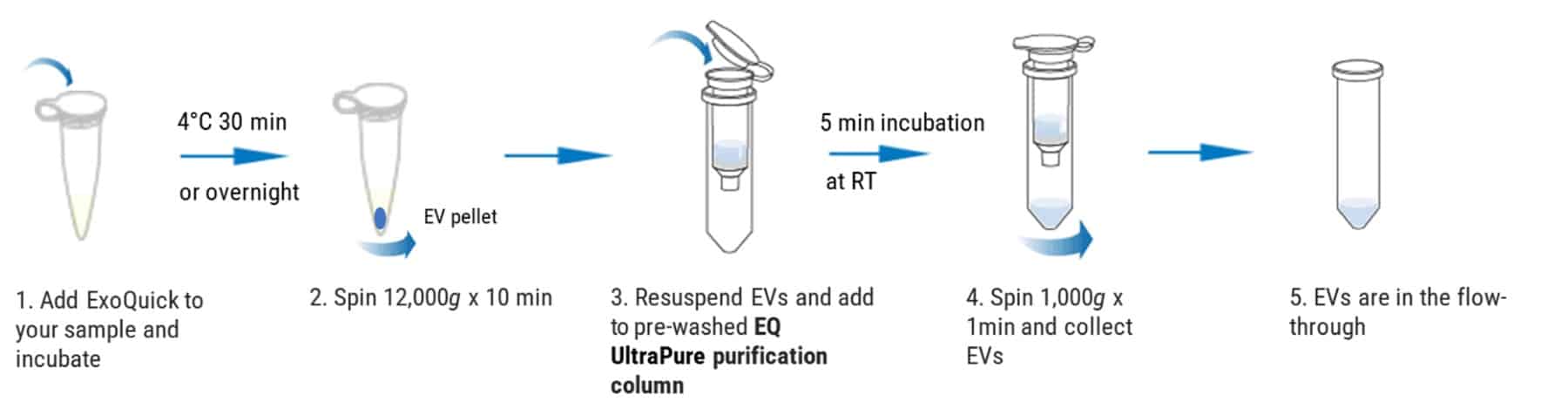 The simple ExoQuick Ultra 2.0 workflow