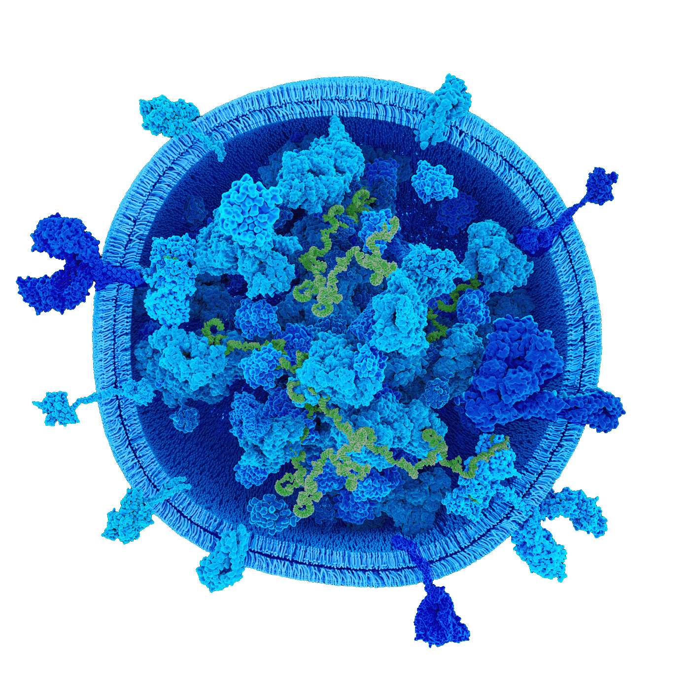 Exosome 1