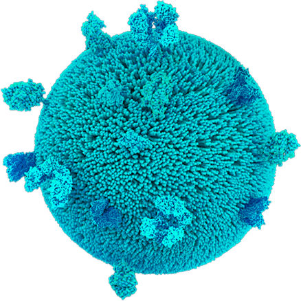 Exosome 3