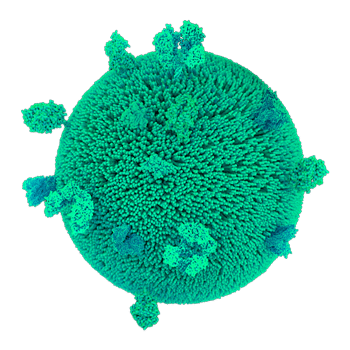 Exosome 8
