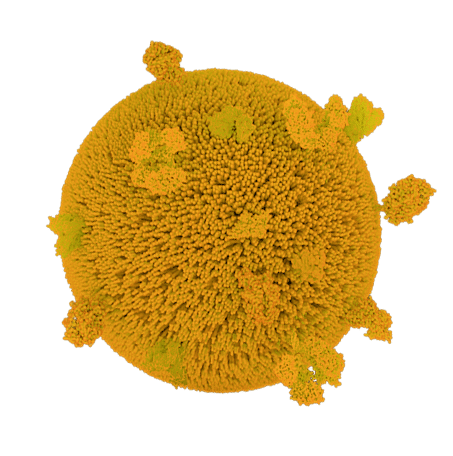 Exosome Orange