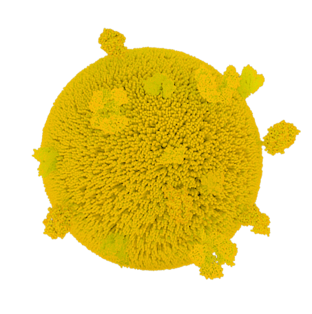 Exosome Yellow