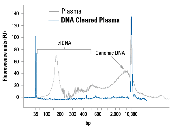 DNA Cleared Plasma is free of detectable cfDNA and carried-over genomic DNA.