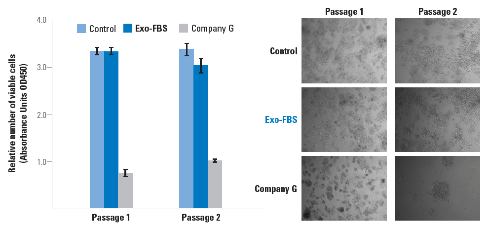 Exo-FBS supports more robust cell growth than competitors