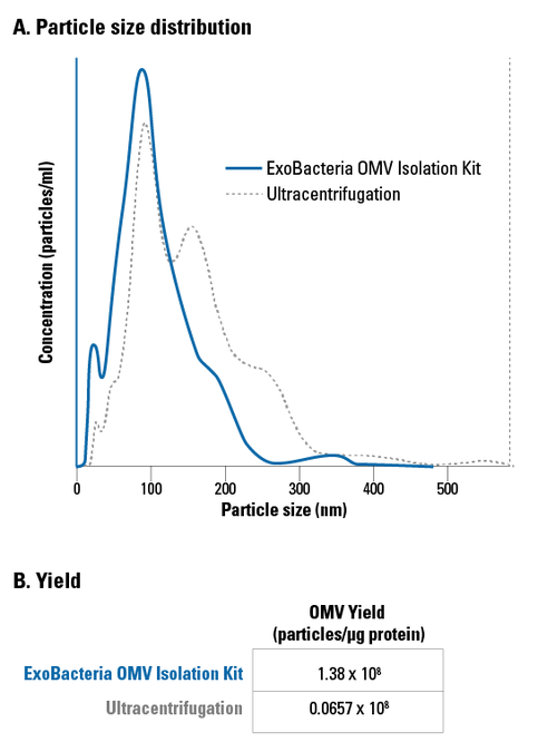 The ExoBacteria OMV Isolation Kit delivers a narrower size distribution of OMVs and higher yields than ultracentrifugation-based isolation