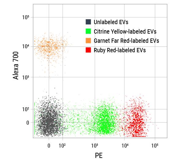 The excellent spectral separation of ExoFlow-ONE dyes enables multiplexing, for more powerful and efficient experimentation