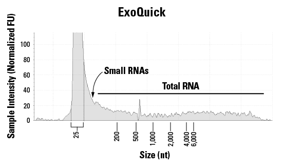 EVeryRNA works well on EVs isolated using ExoQuick