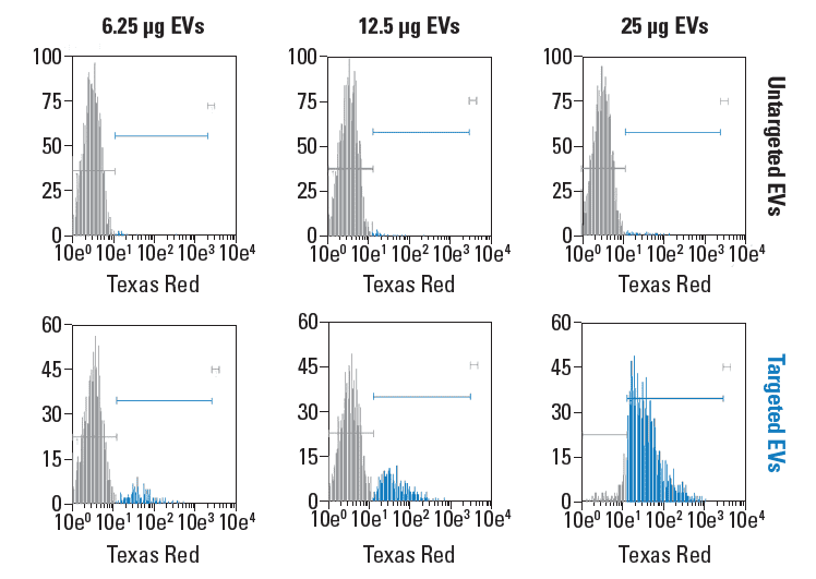 Targeting EVs engineered using XStamp Pro are efficiently internalized