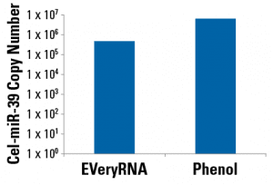 EVeryRNA is EVery bit as good as phenol.