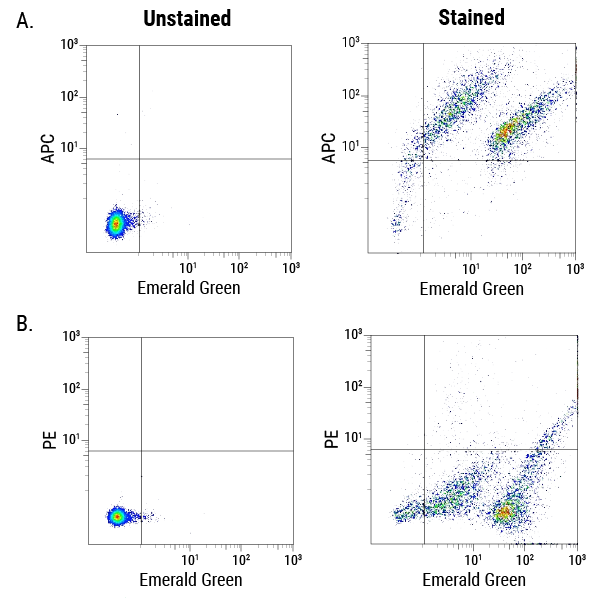 ExoFlow-ONE dyes multiplexed with antibody-conjugated dyes are able to identify subpopulations of EVs