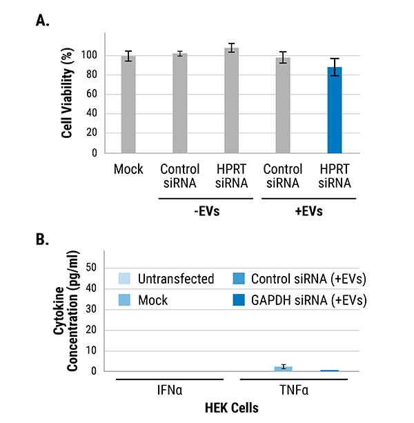 Exo-Fect siRNA/miRNA reagent is non-toxic to cells exposed to treated EVs